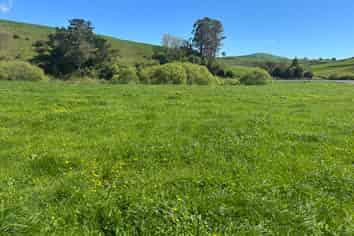 Lot 1, 51 Kiwi Road, Pirongia