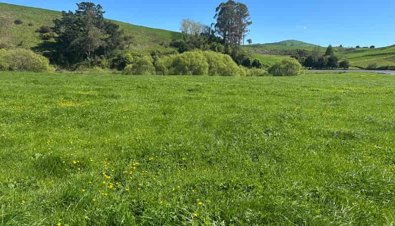 Lot 1, 51 Kiwi Road, Pirongia