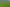 Lot 1, 51 Kiwi Road, Pirongia