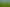 Lot 1, 51 Kiwi Road, Pirongia