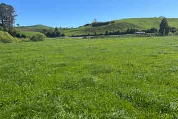 Lot 1, 51 Kiwi Road, Pirongia