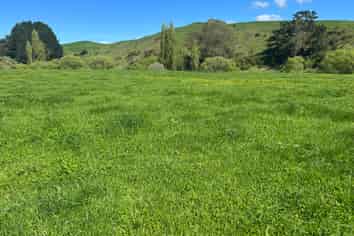 Lot 1, 51 Kiwi Road, Pirongia