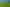 Lot 2, 51 Kiwi Road, Pirongia