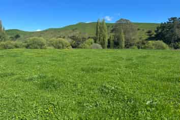 Lot 2, 51 Kiwi Road, Pirongia