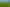 Lot 2, 51 Kiwi Road, Pirongia