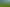 Lot 2, 51 Kiwi Road, Pirongia
