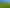 Lot 2, 51 Kiwi Road, Pirongia