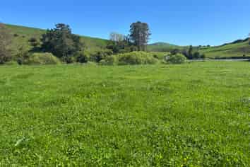 Lot 2, 51 Kiwi Road, Pirongia