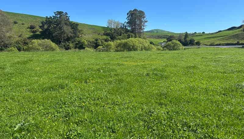 Lot 2, 51 Kiwi Road, Pirongia