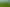 Lot 2, 51 Kiwi Road, Pirongia