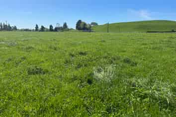 Lot 2, 51 Kiwi Road, Pirongia