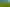 Lot 2, 51 Kiwi Road, Pirongia