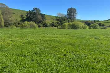 Lot 2, 51 Kiwi Road, Pirongia