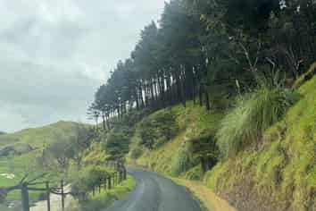 1771 Klondyke Road, Port Waikato
