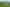 Northland - Address withheld