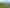 Northland - Address withheld