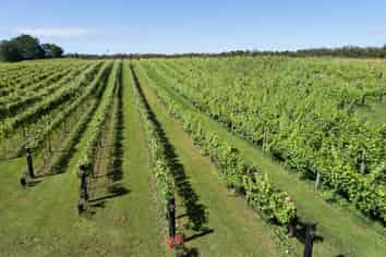 Sovrano Estate - Vineyard, Restaurant & Cellar...