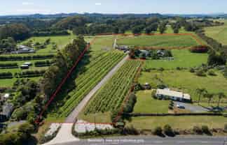 Sovrano Estate - Vineyard, Restaurant & Cellar...