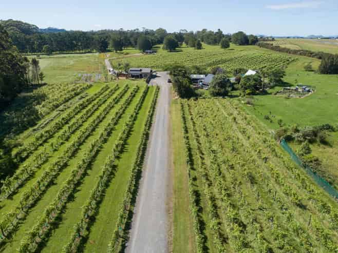 Sovrano Estate - Vineyard, Restaurant & Cellar...