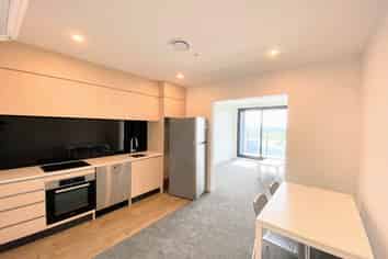 221/428 Dominion Road, Mount Eden