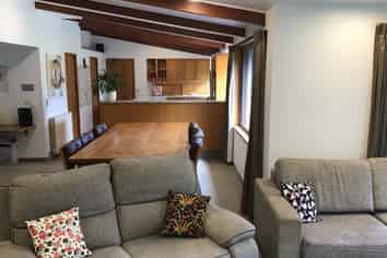 What A Fun Lifestyle