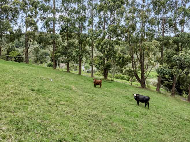 79 Grahamtown Road, Onerahi