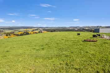 Akatore Road, Taieri Mouth