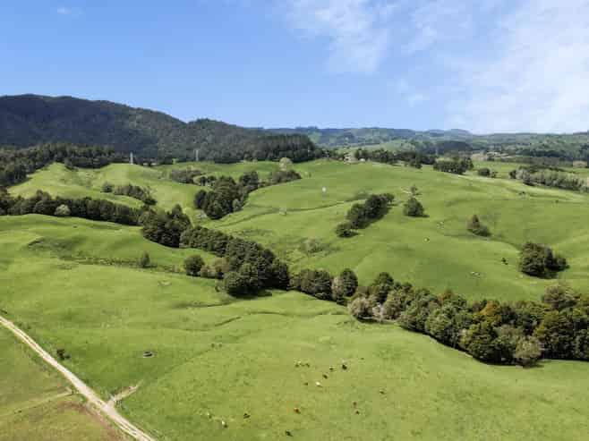 2051 Paparoa-Oakleigh Road, Taipuha