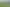 570 Belcher Street, Pirongia