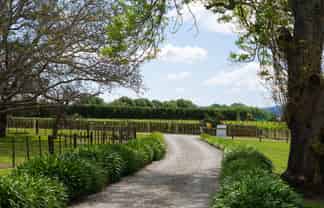 33 Caesar Road, ORMOND