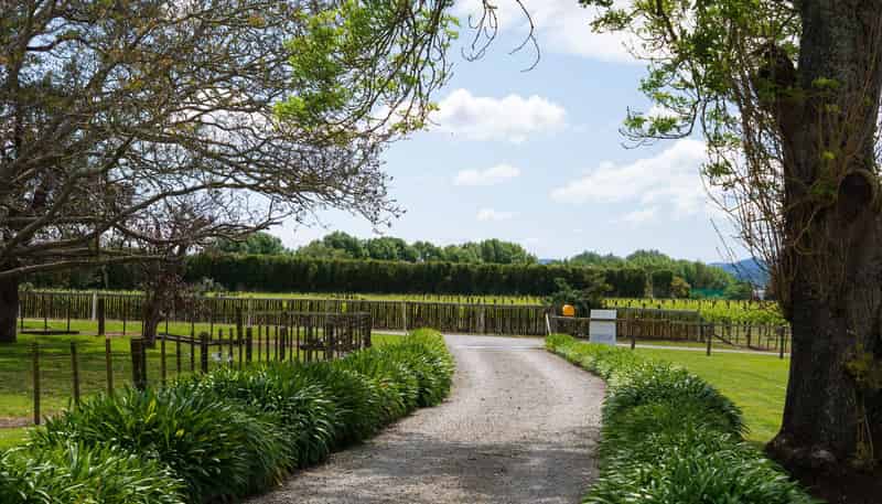 33 Caesar Road, ORMOND