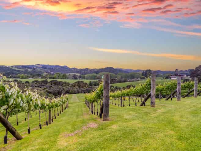 61A Whitford Park Road, Whitford