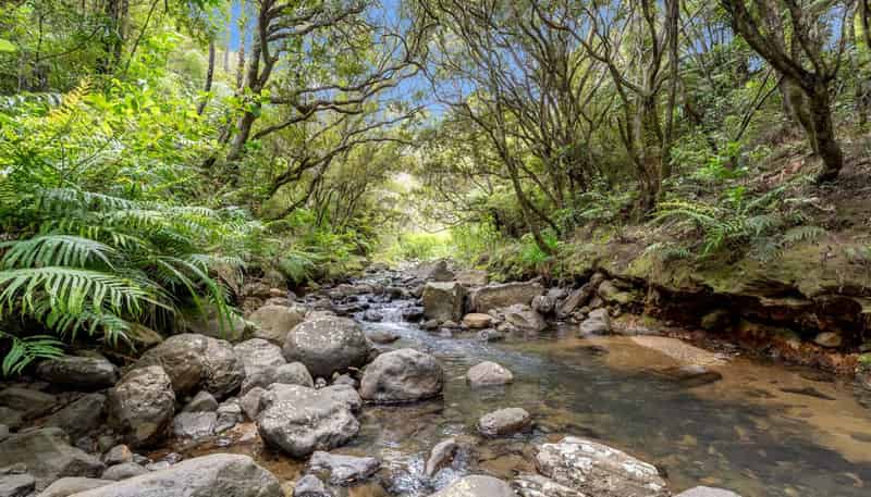 5 Silverstream Falls Row, Whenuakite