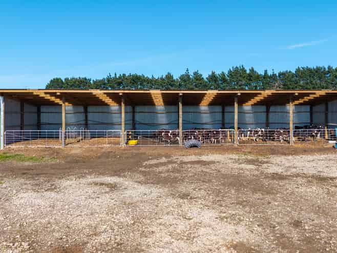 886 Kakariki Road, Eketahuna