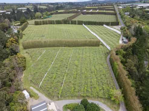 121A No 4 Road, Te Puke