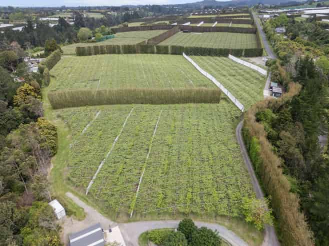 121A No 4 Road, Te Puke