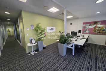 Premium Retail Opportunity – New Lynn