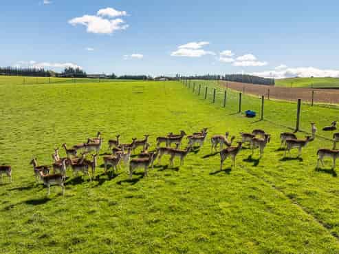 44 Limeworks Road, Waikari