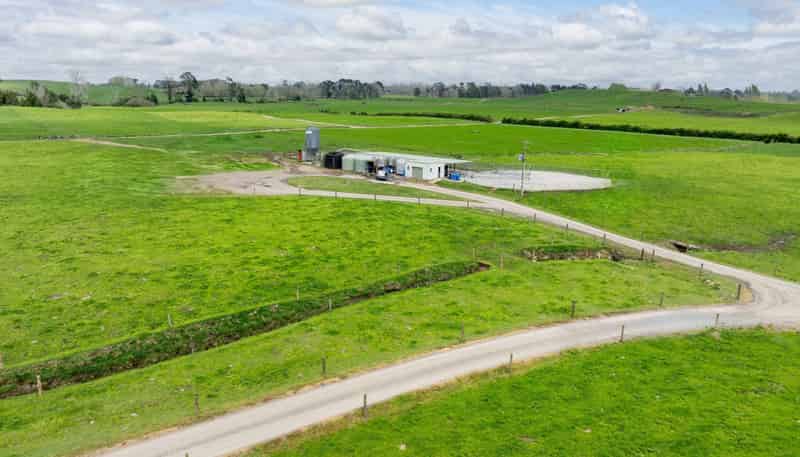 128 Rapurapu Road, Te Poi, Matamata