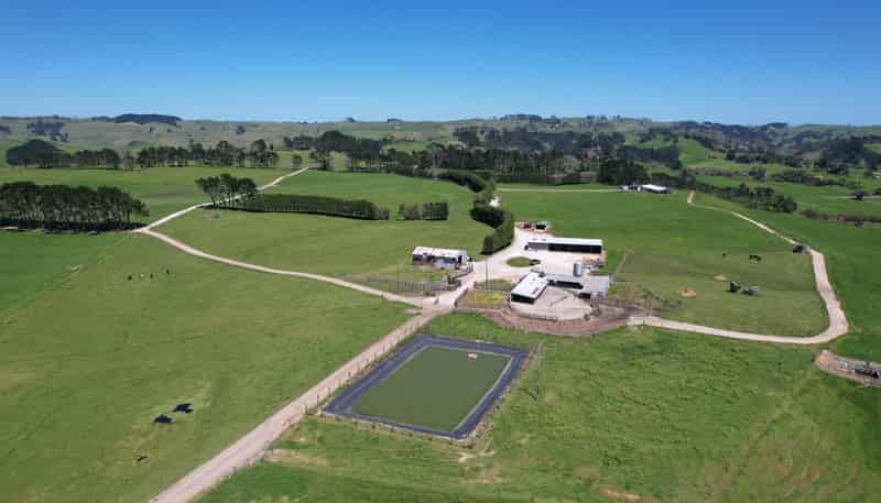 2611 Pouto Road, Te Kopuru