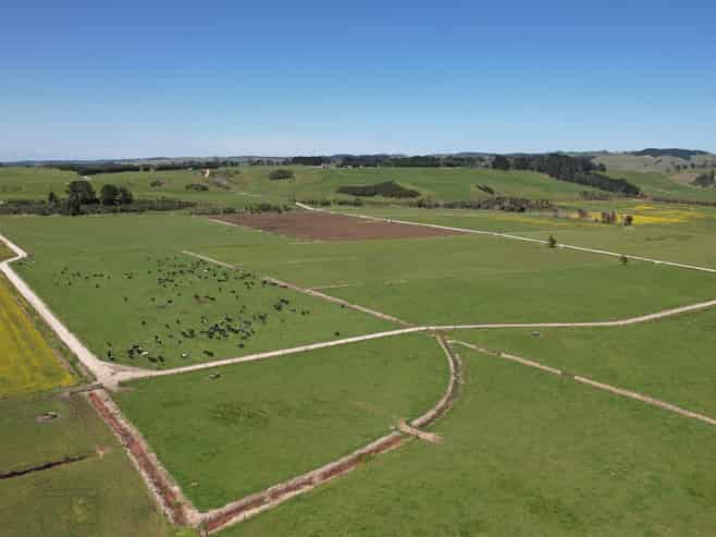 2611 Pouto Road, Te Kopuru