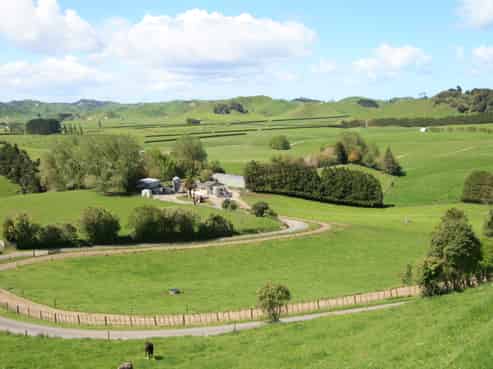 734 Bird Road, Pukengahu