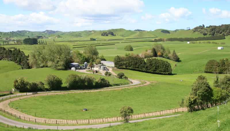 734 Bird Road, Pukengahu