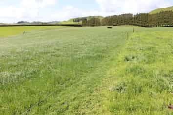 734 Bird Road, Pukengahu