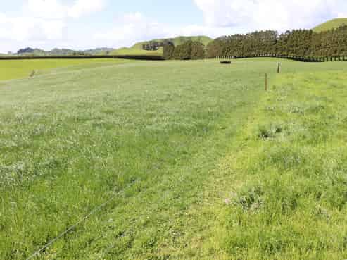 734 Bird Road, Pukengahu