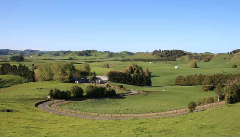 734 Bird Road, Pukengahu