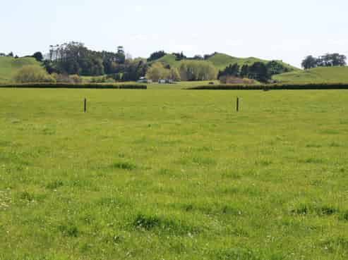 734 Bird Road, Pukengahu