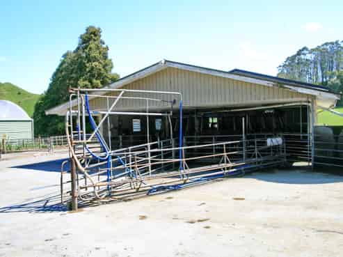 734 Bird Road, Pukengahu