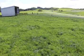 734 Bird Road, Pukengahu