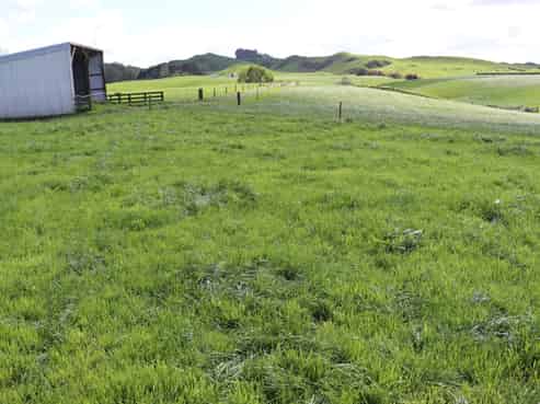 734 Bird Road, Pukengahu